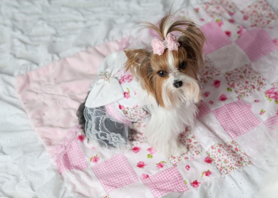 Pink Shabby Chic Blanket